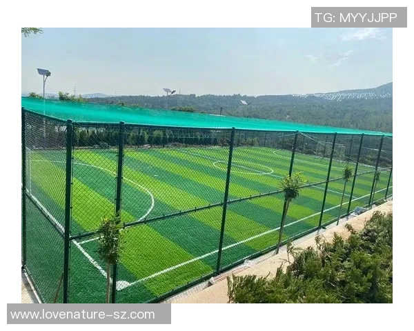 笼式足球场围栏设计与安全性分析提升运动场地使用体验