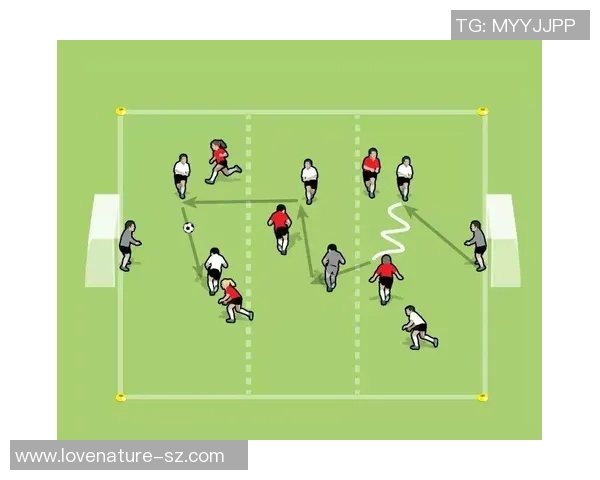 足球赏析课：深入理解比赛背后的战术与技巧提升观赛体验