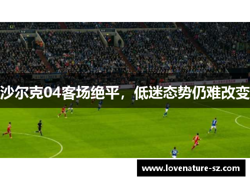 沙尔克04客场绝平，低迷态势仍难改变